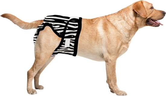 loopsheidbroekje hond zebra maat xl voor grote honden herbruikbaar